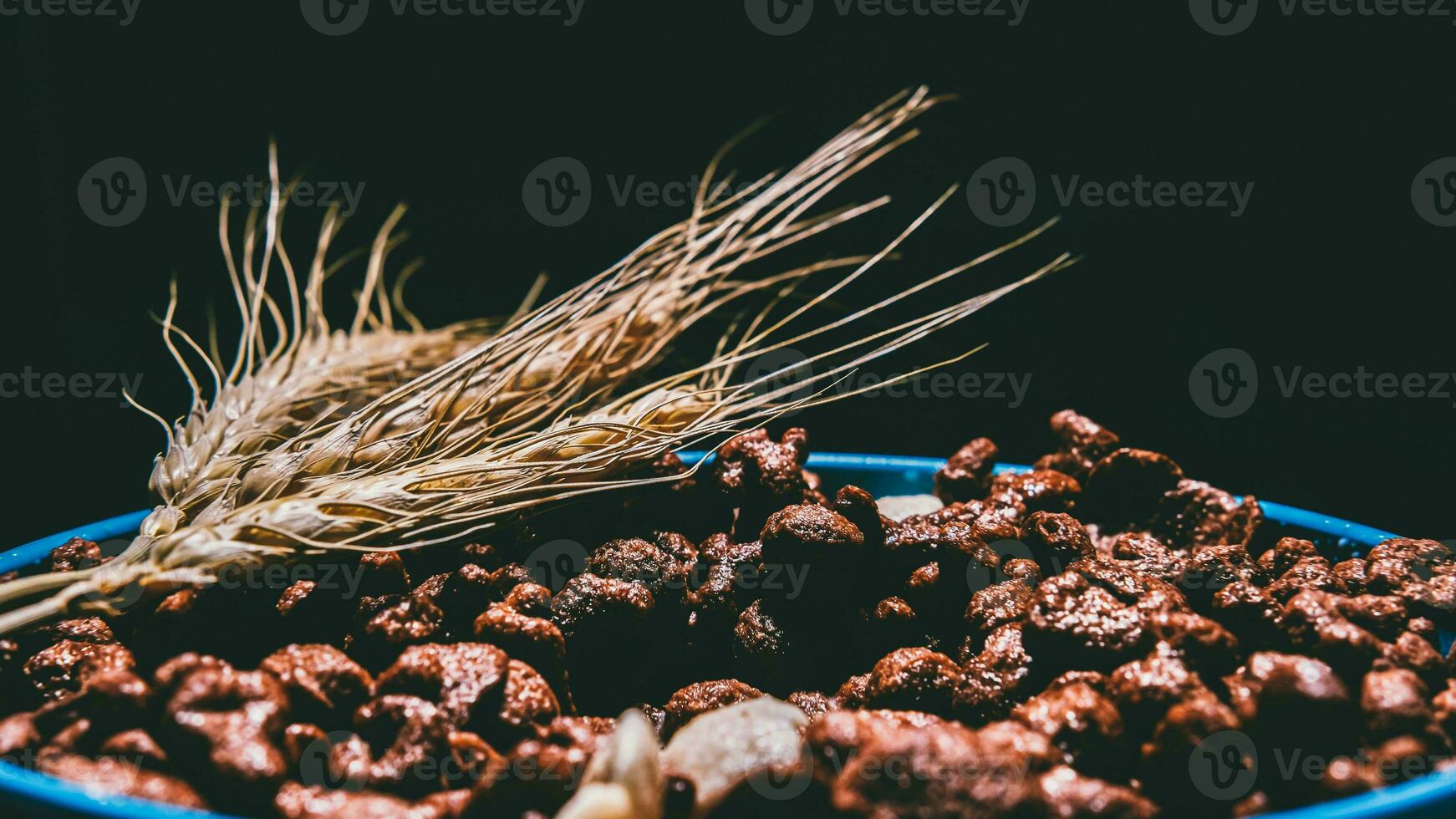 Chocolate cereal in blue bowl on white background. Cornflakes. Breakfast concept. food suitable for children. photo