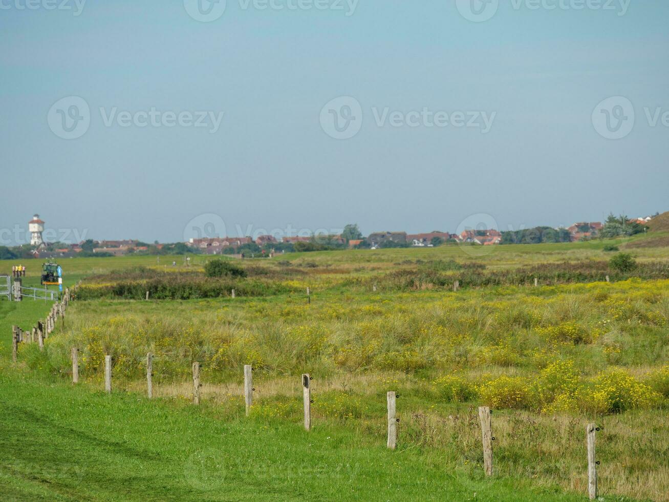 langeoog in th north sea photo