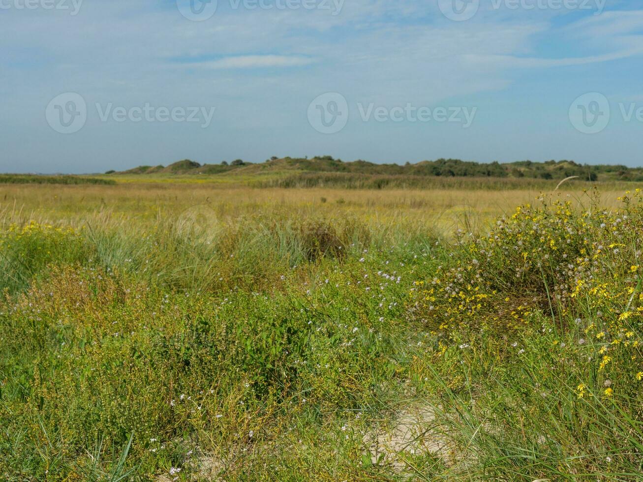 the island of Langeoog photo