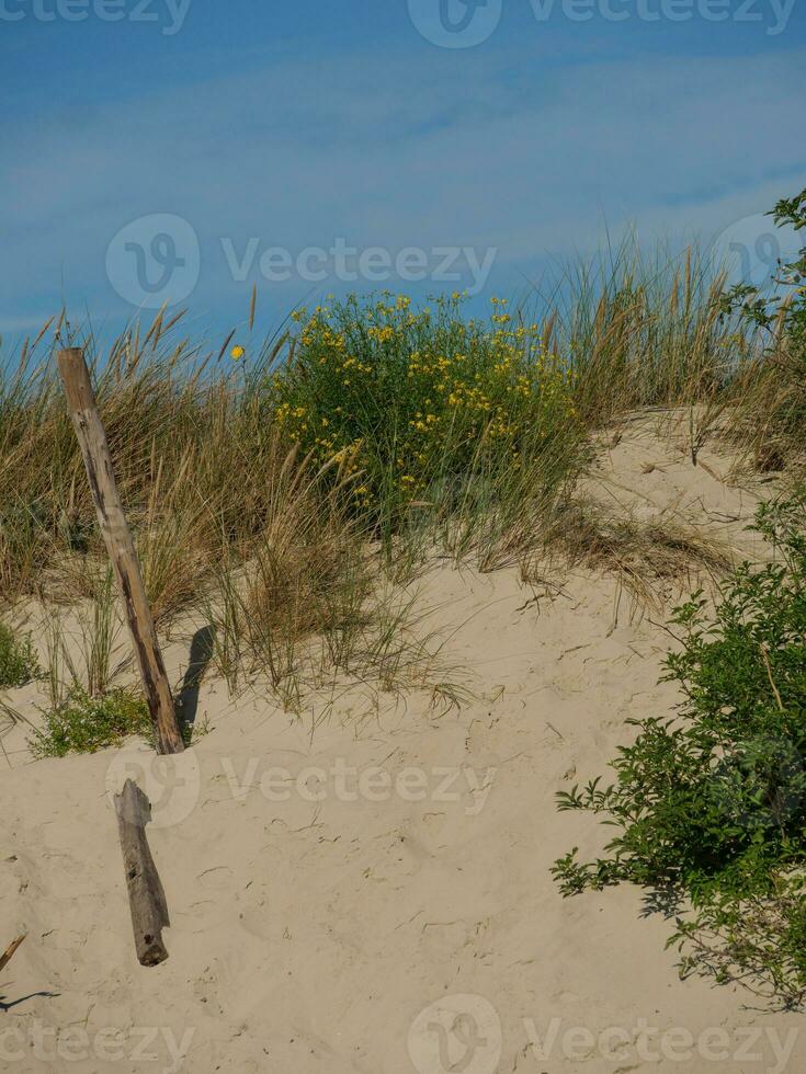 the island of Langeoog photo