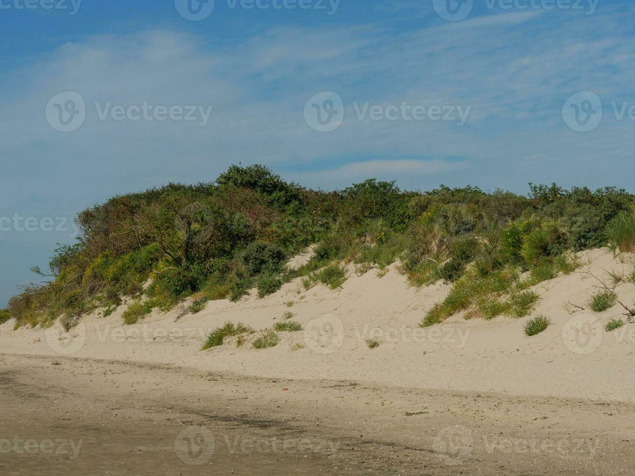 the island of Langeoog photo