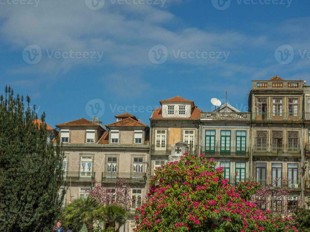 the old city of porto photo