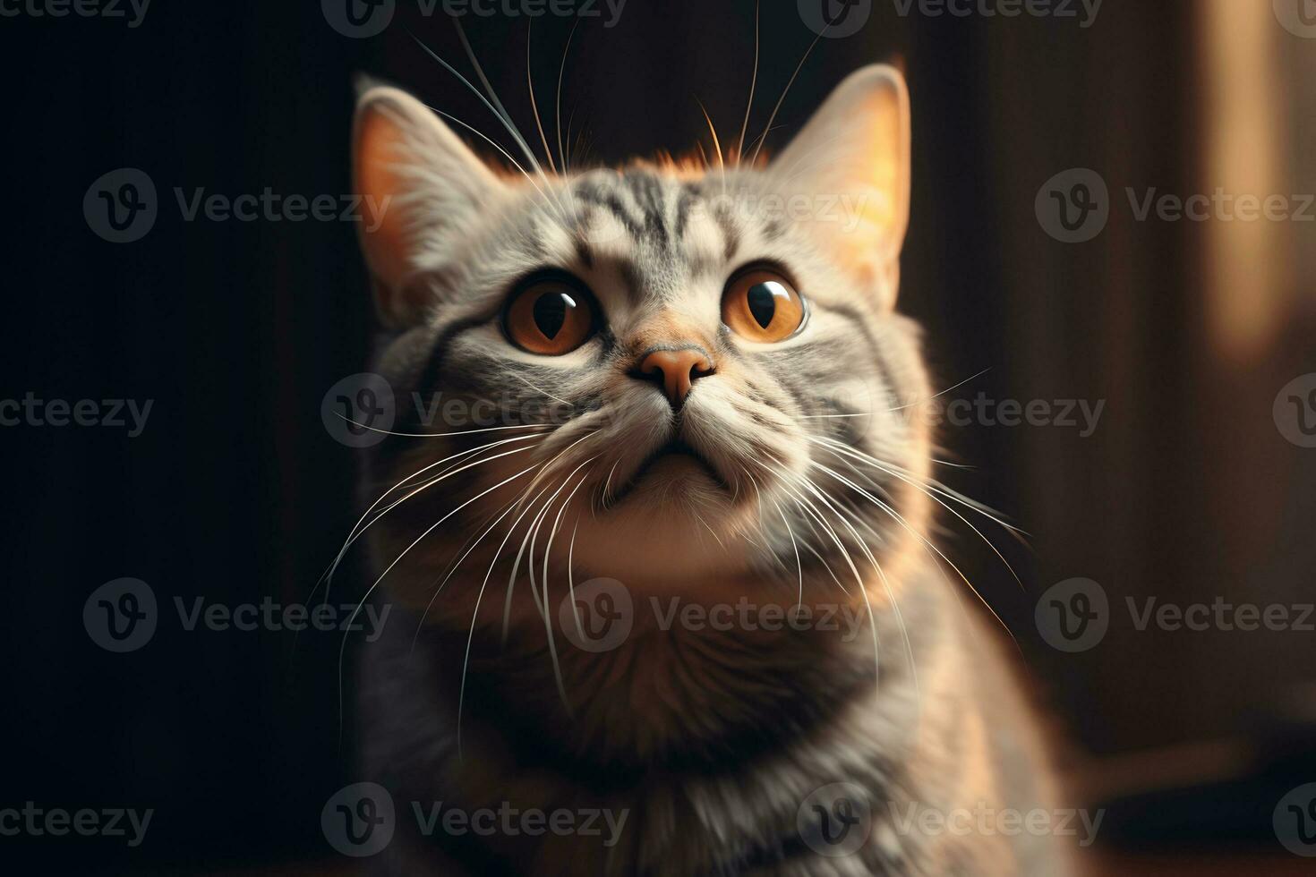 playful cat perfect face and eyes highly detailed AI Generative photo