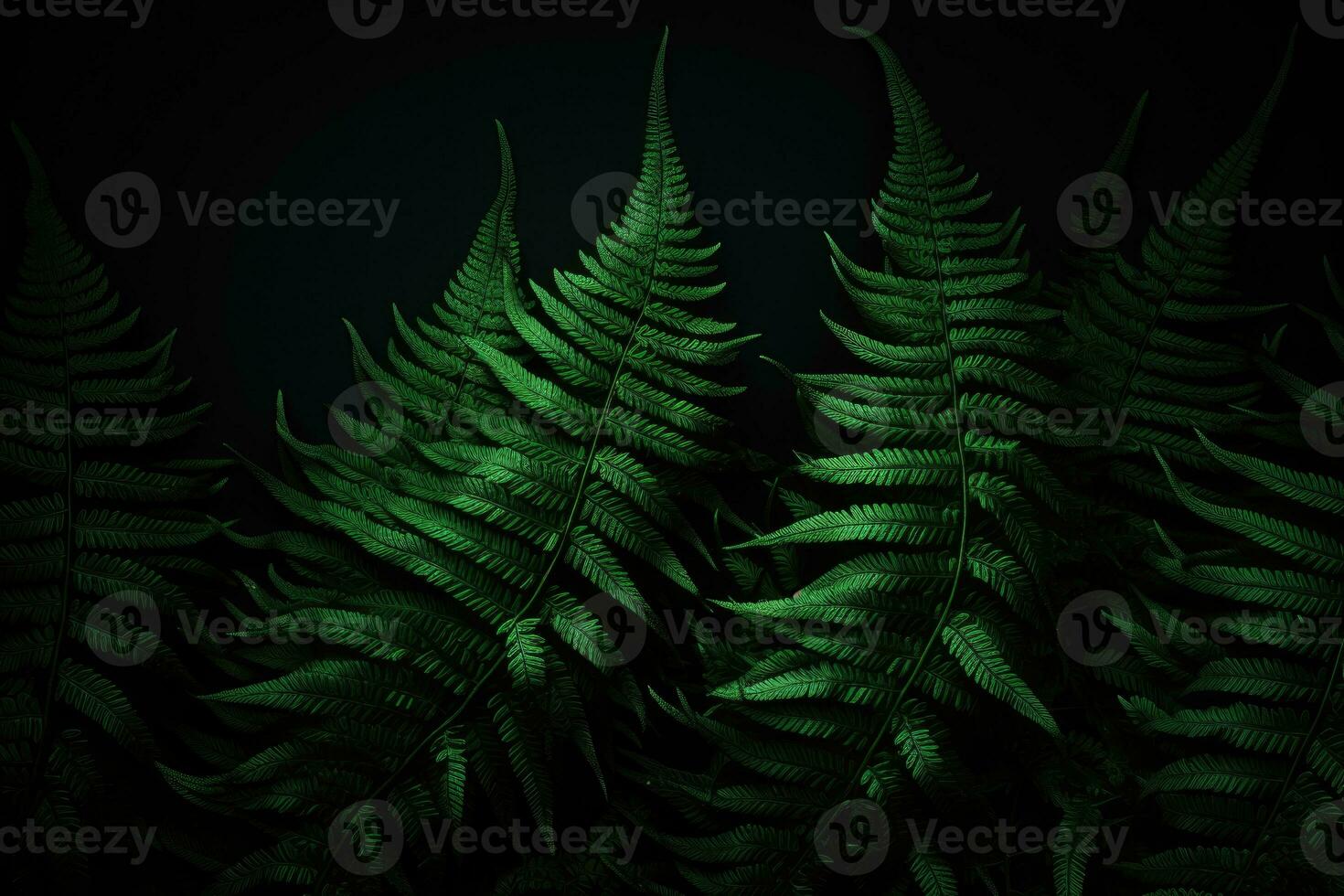 Fern leaves on a dark background. AI generated photo