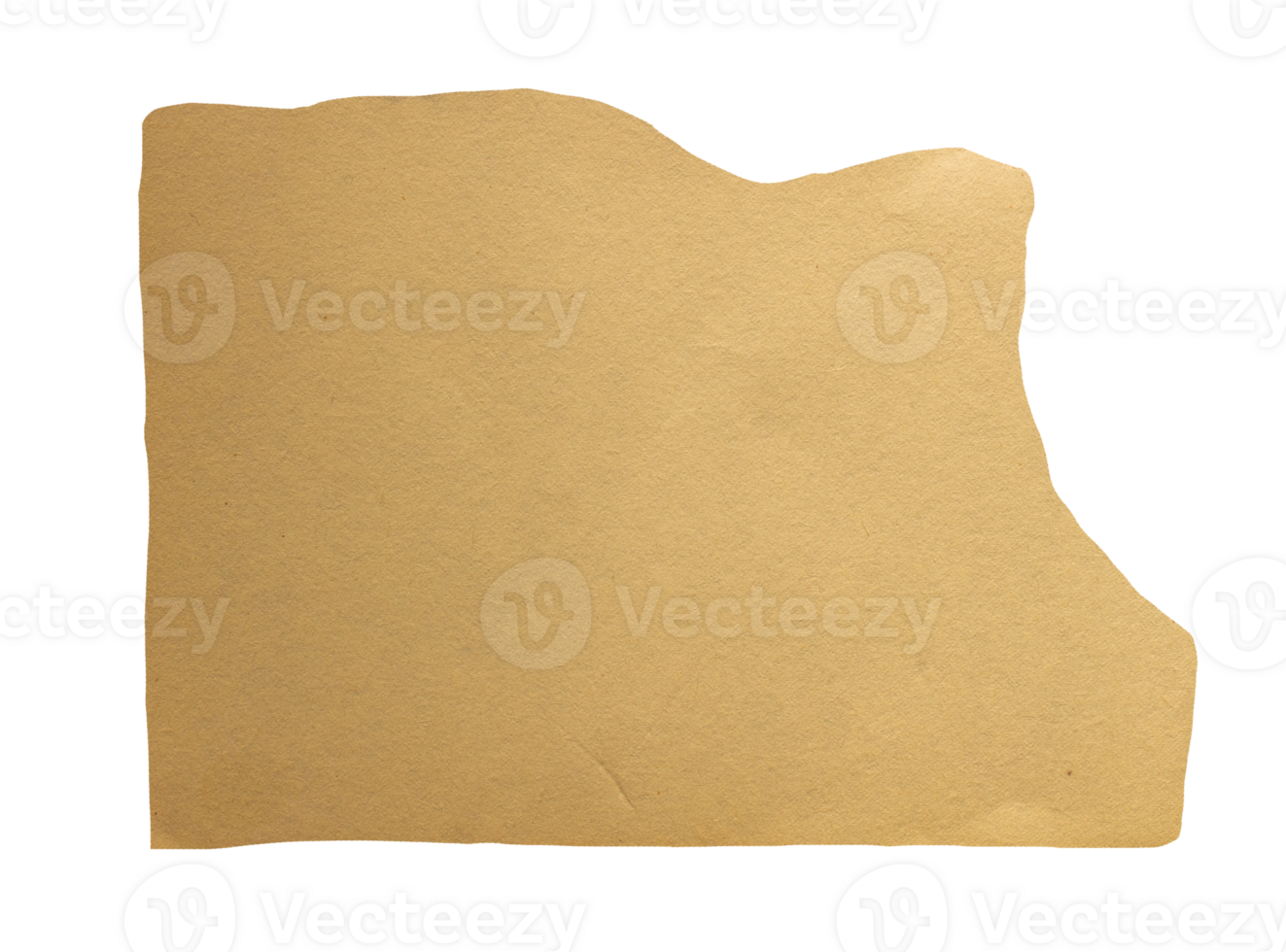 Torn paper piece on transparent background. Ripped paper label png. png