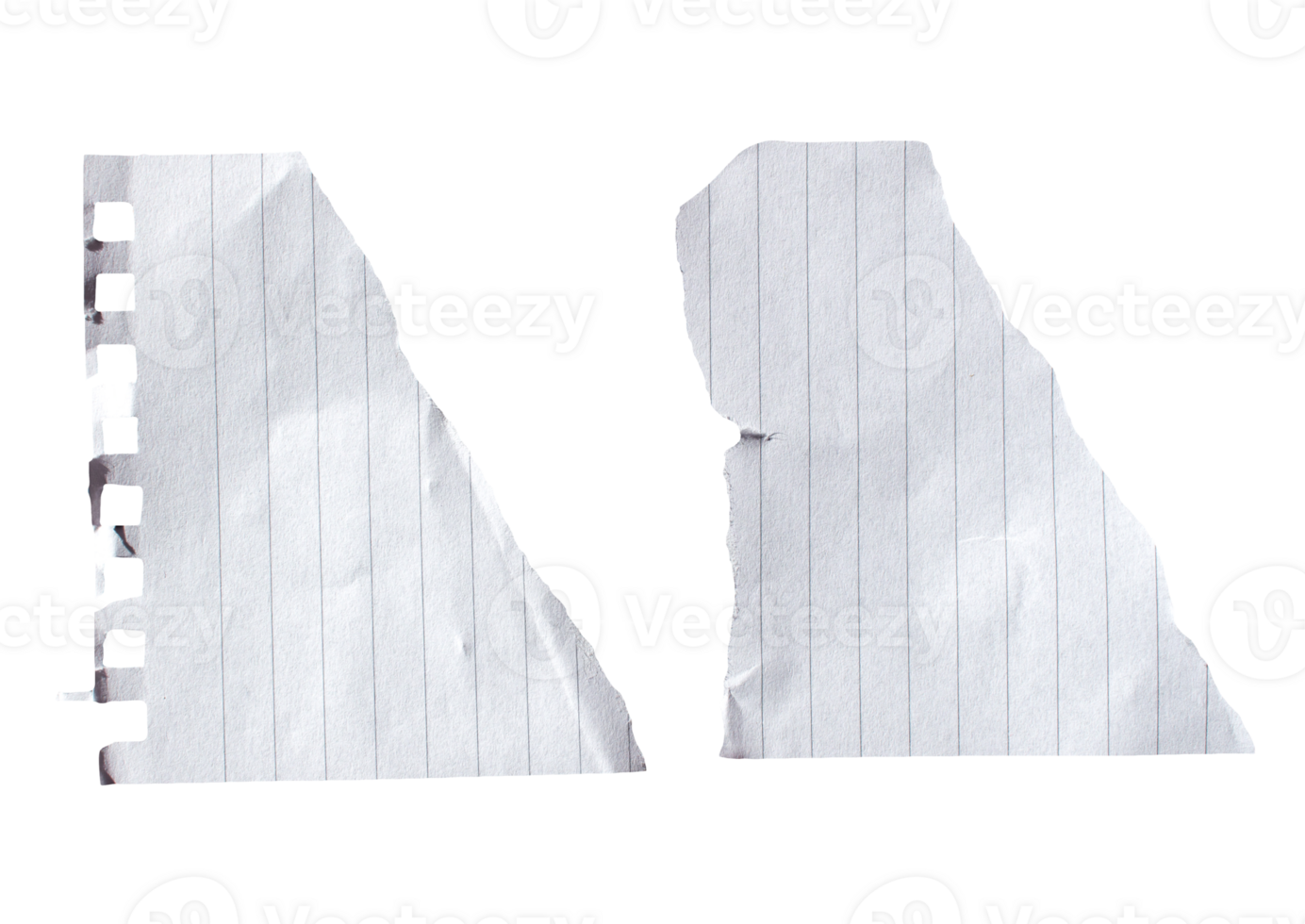 Torn paper piece on transparent background. Ripped paper label png. png