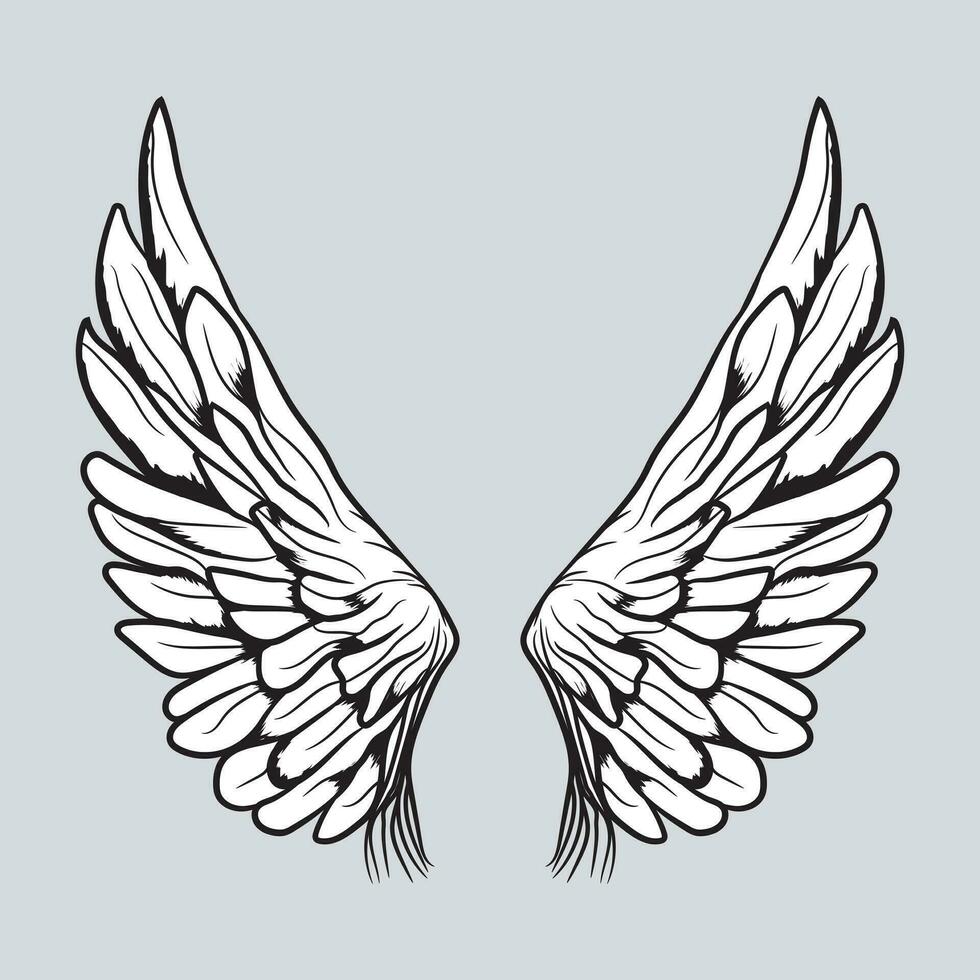 Wings Vector Graphics