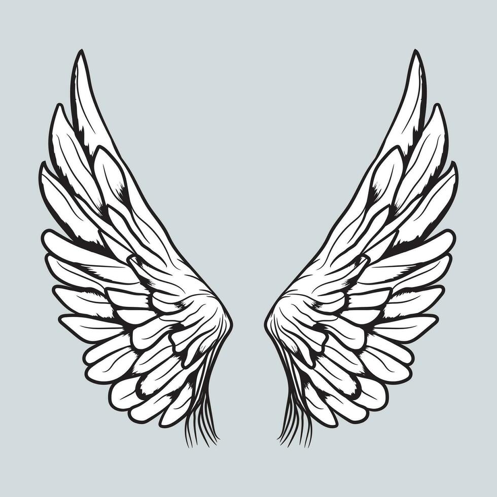 Wings Vector Graphics
