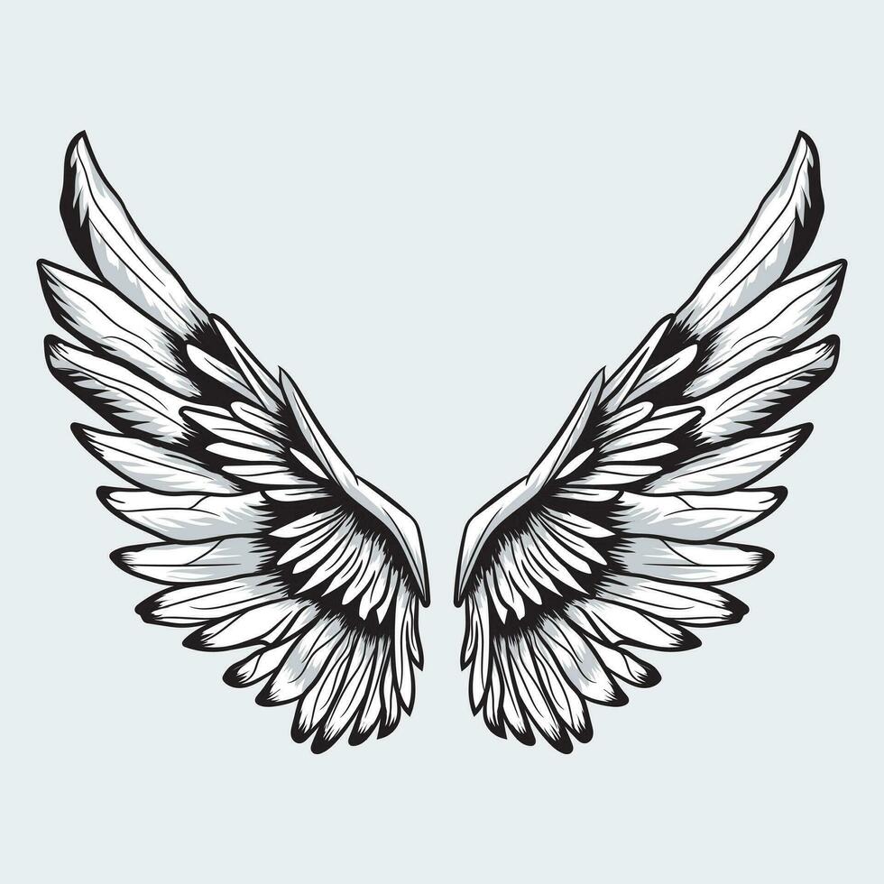 Wings Vector Graphics