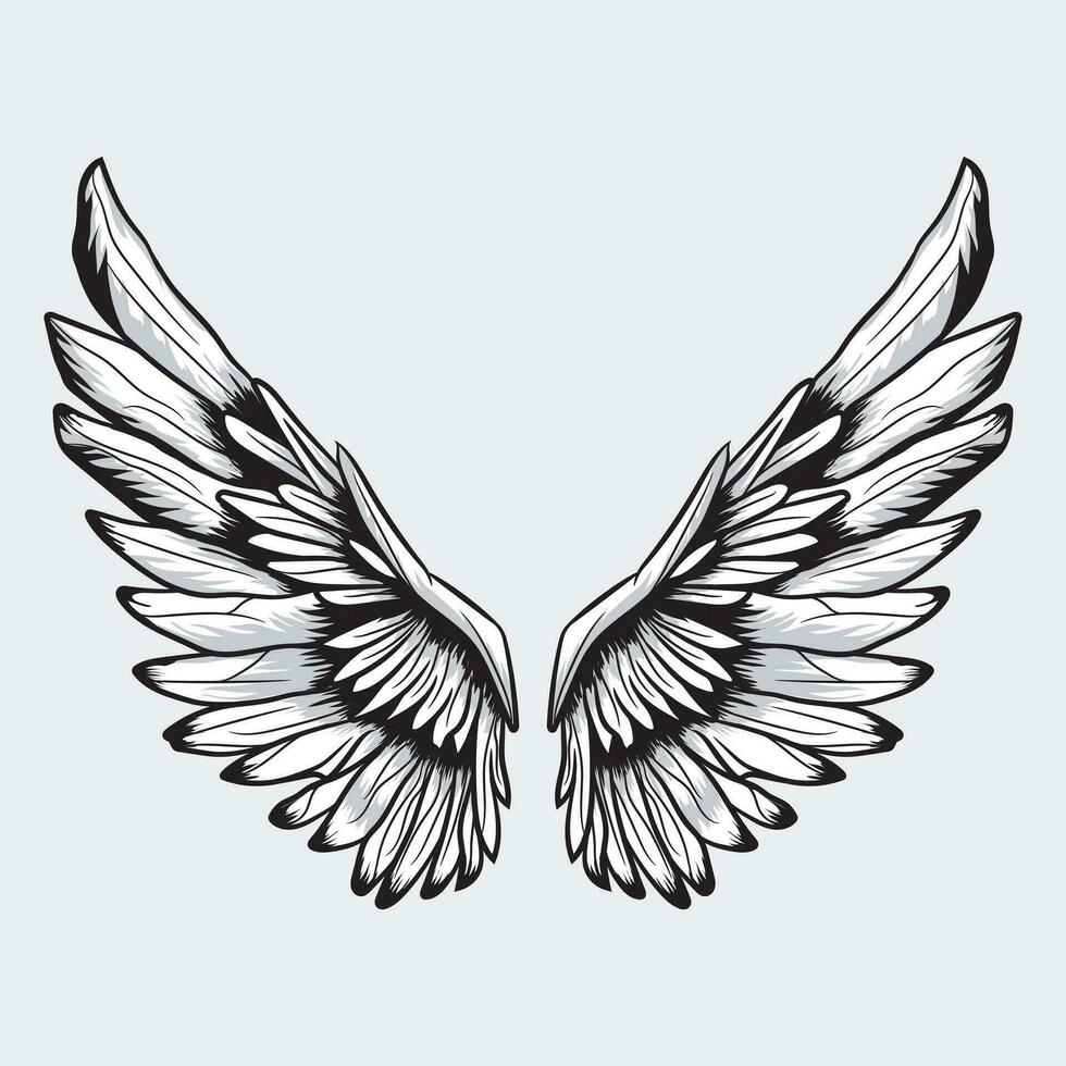 Wings Vector Graphics