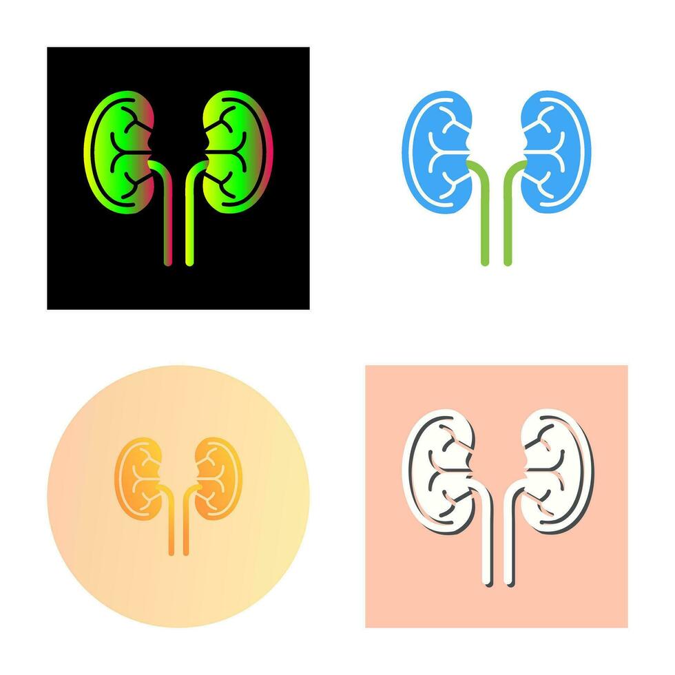 Kidney Vector Icon