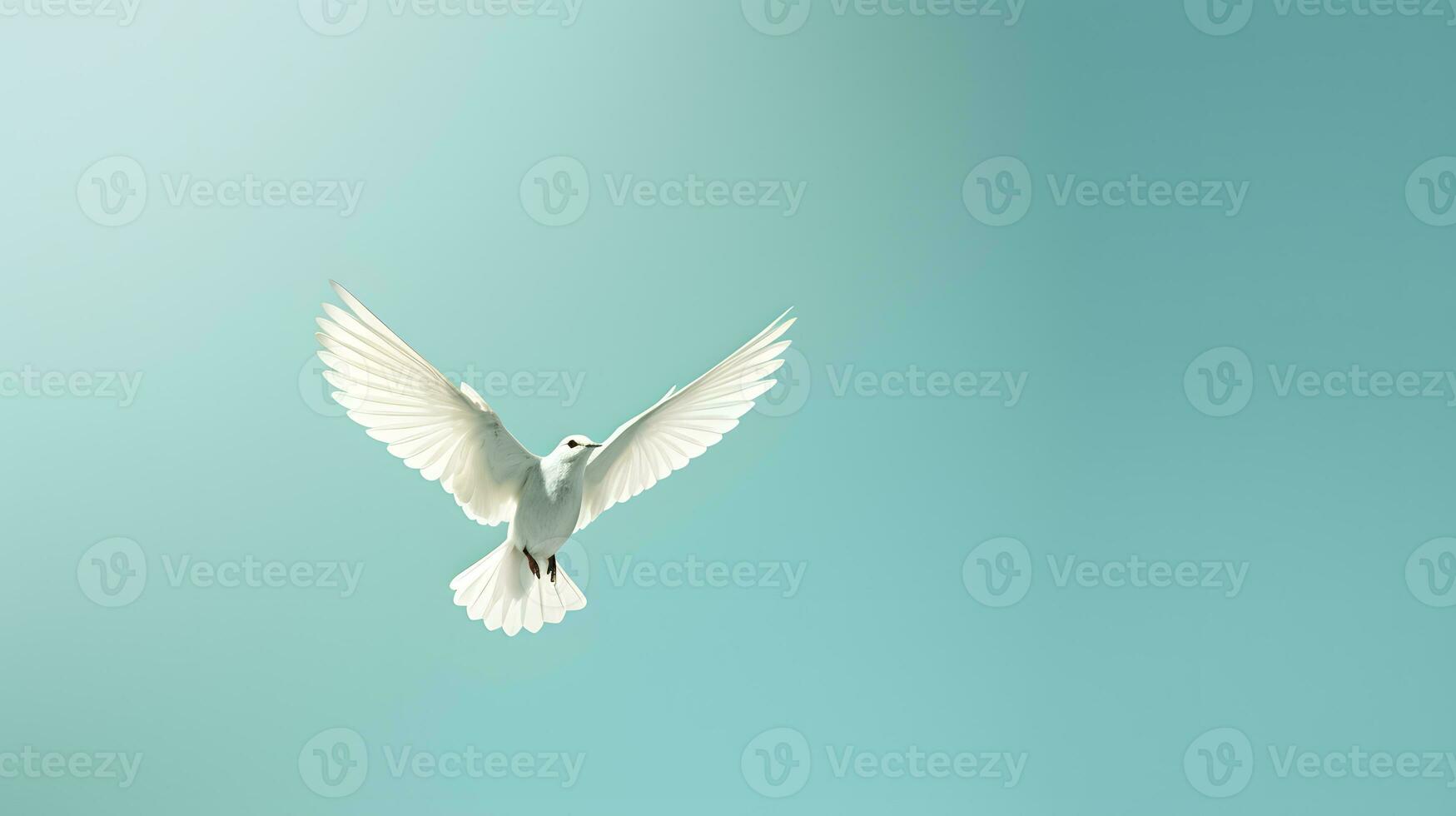 seagull flying in the blue sky, beautiful photo digital picture