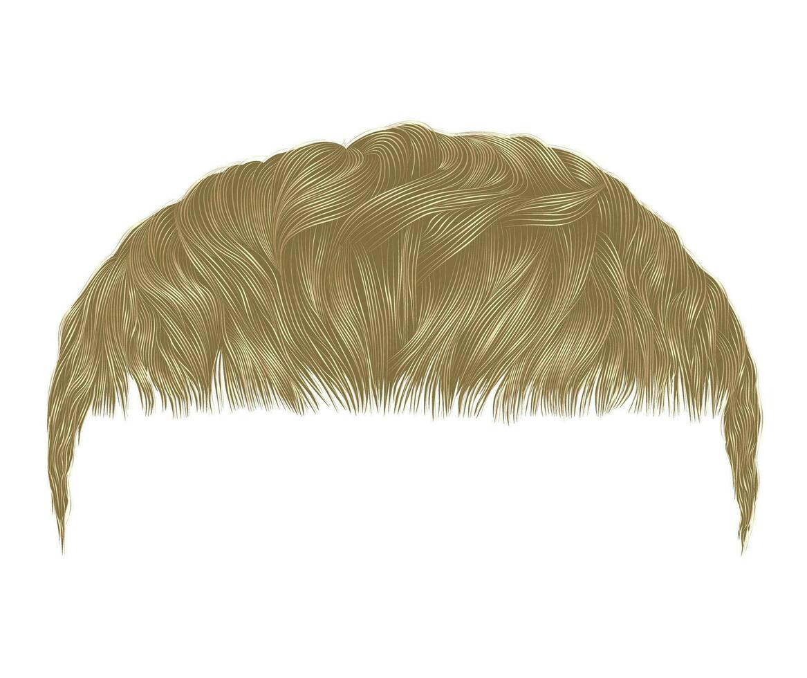 trendy man hairs blond color beauty style crop. vector