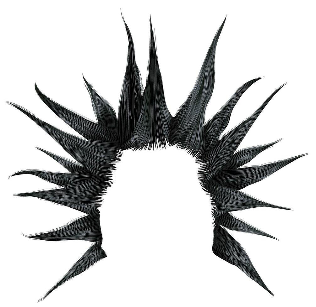 Punk joker hairstyle.Shaggy  black  hair.Fashion style . vector