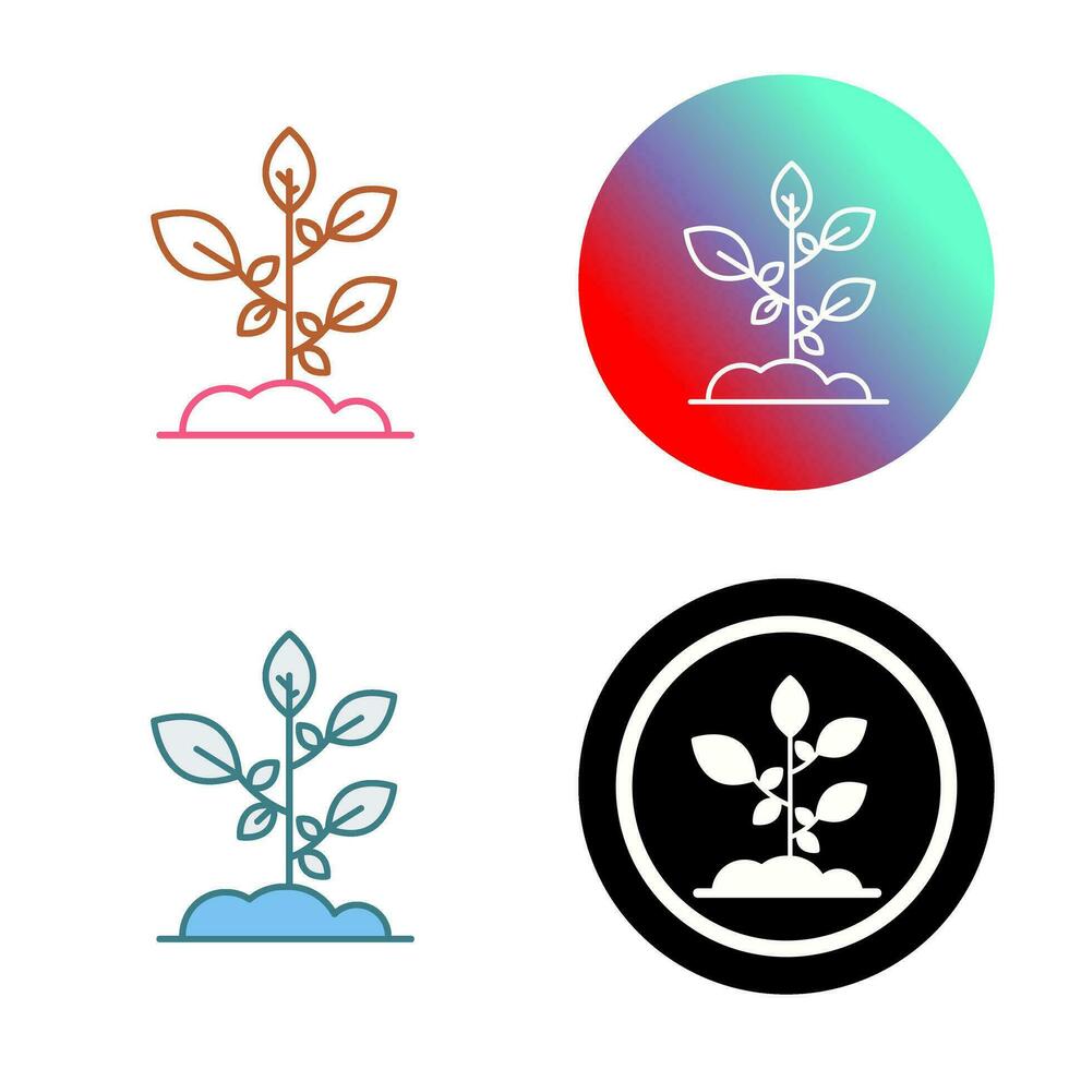 Sprout Vector Icon