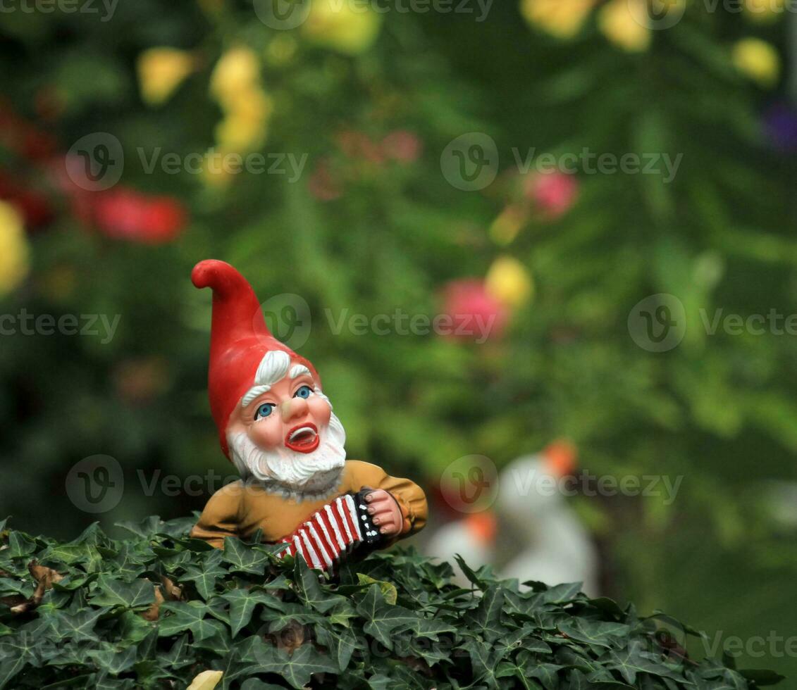 Garden dwarf or gnome photo