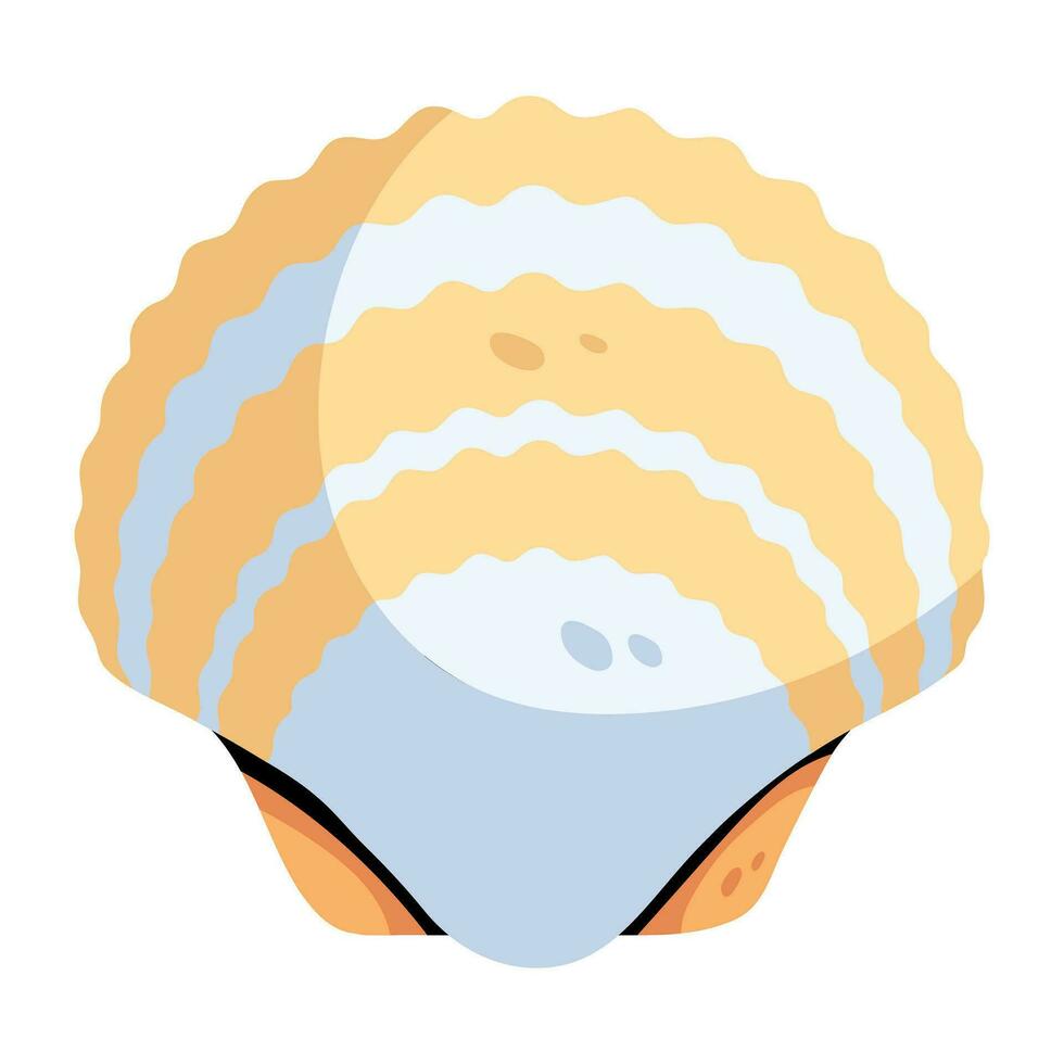 Trendy Seashell Concepts vector