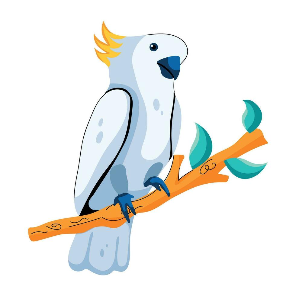 Trendy Cockatoo Concepts vector