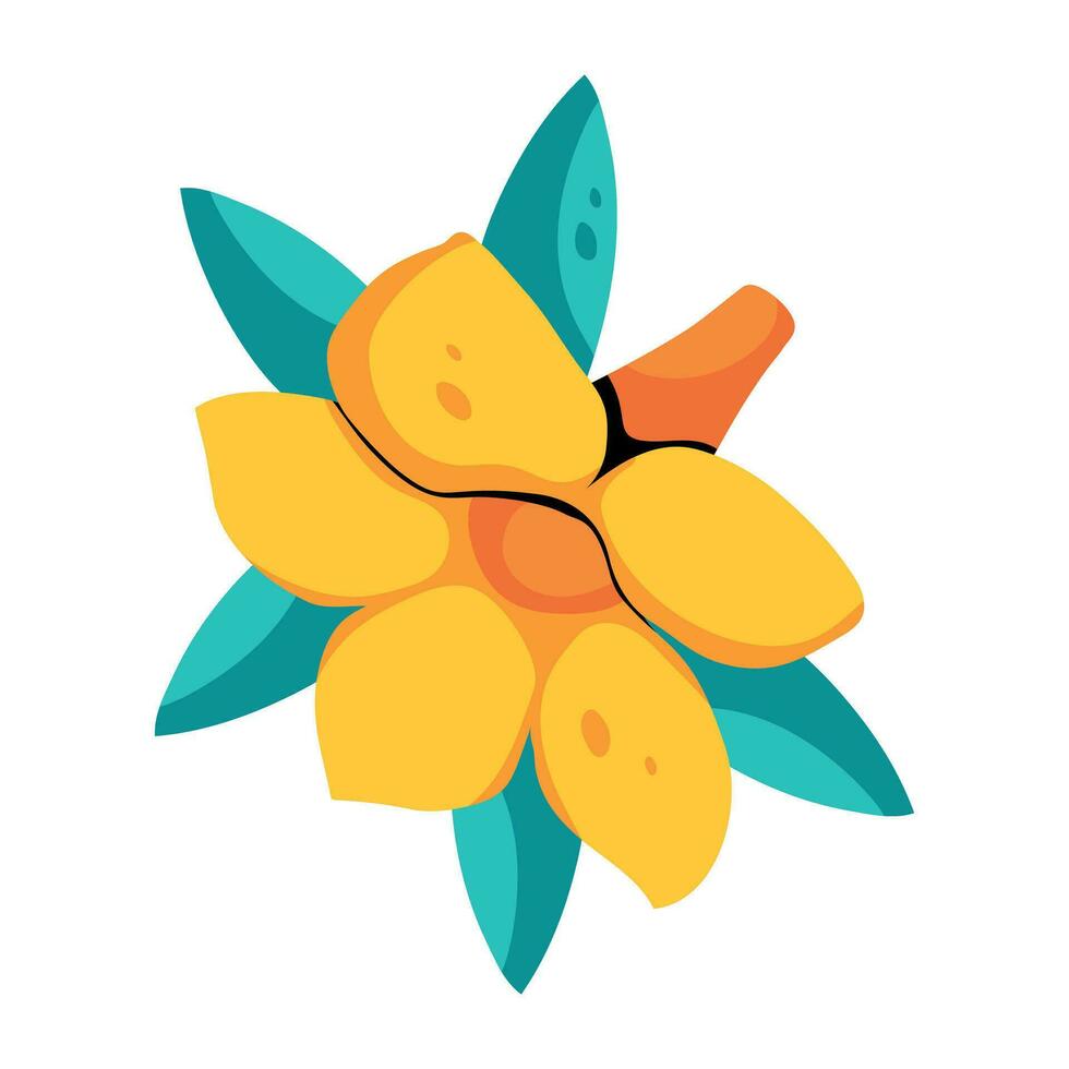 Trendy Allamanda Cathartica vector