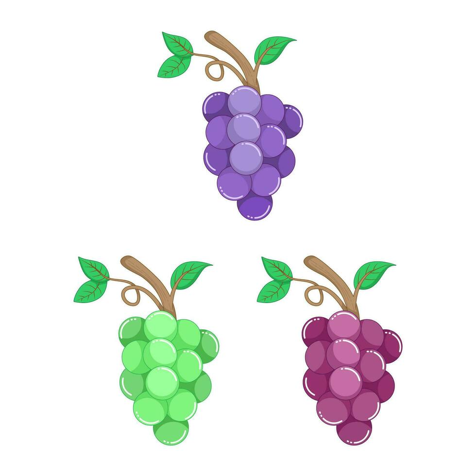 uvas icono de color estilo diseño vector modelo