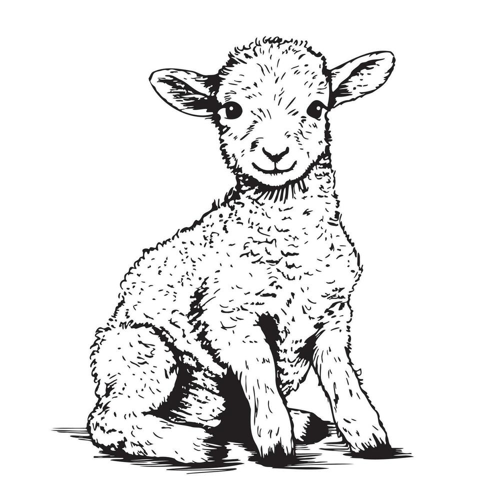 Seated lamb sketch, hand drawn in doodle style Vector illustration