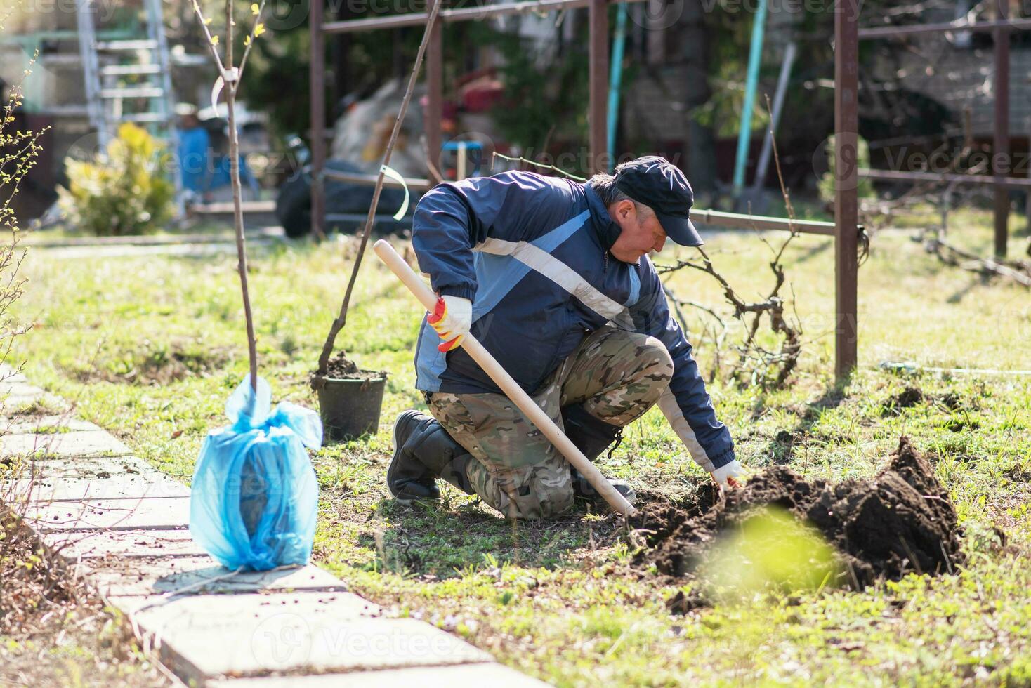 A man is planting a young tree. The farmer is digging the ground with a shovel for a small seedling. The concept of protection of the environment and ecology photo