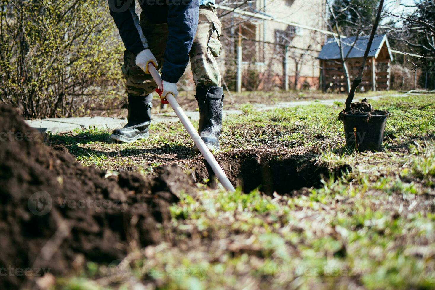 un hombre es plantando un joven árbol. el granjero es excavación el suelo con un pala para un pequeño planta de semillero. el concepto de proteccion de el ambiente y ecología foto