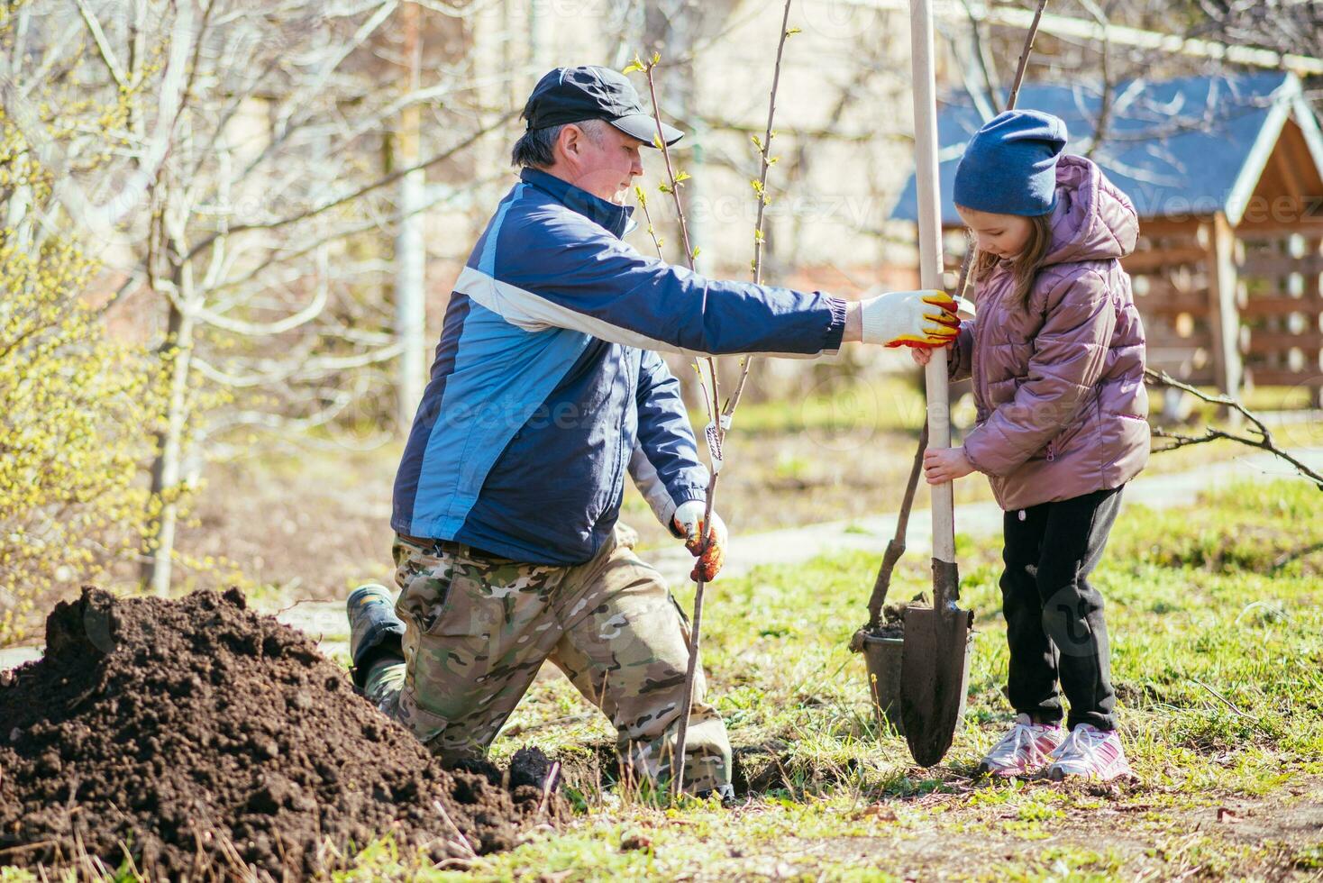 contento padre con su hija plantando un Fruta árbol foto