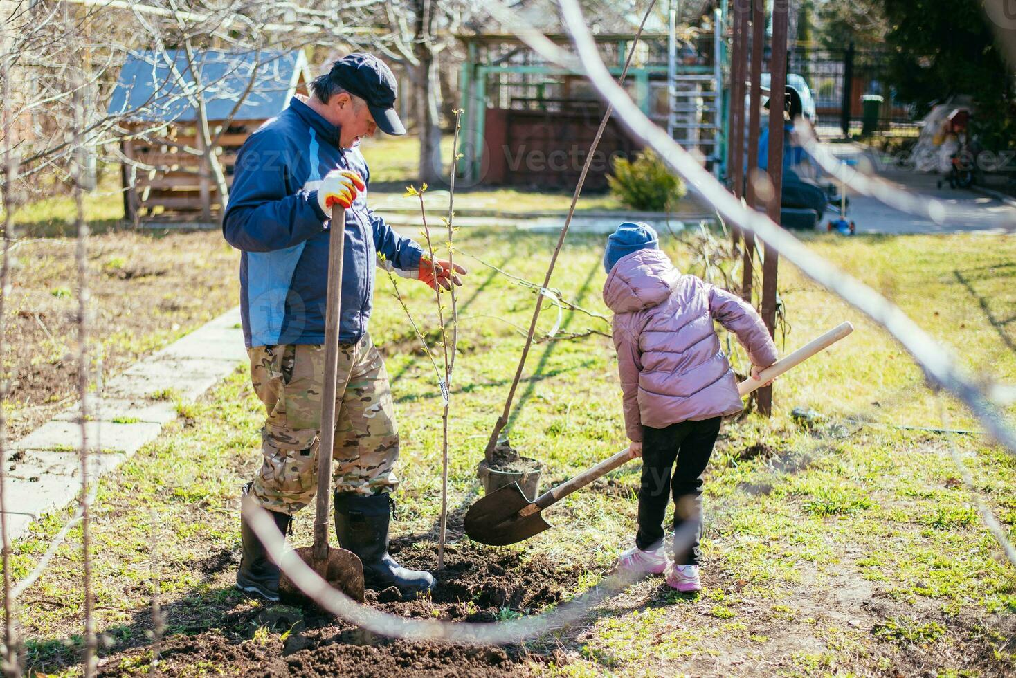 Father teaching his daughter how to plant a new tree in spring photo