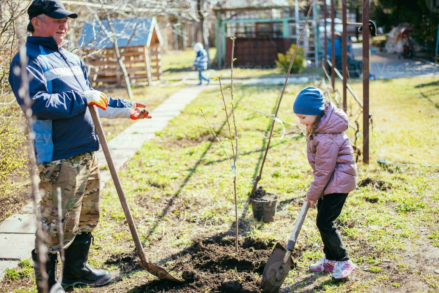 Father teaching his daughter how to plant a new tree in spring photo