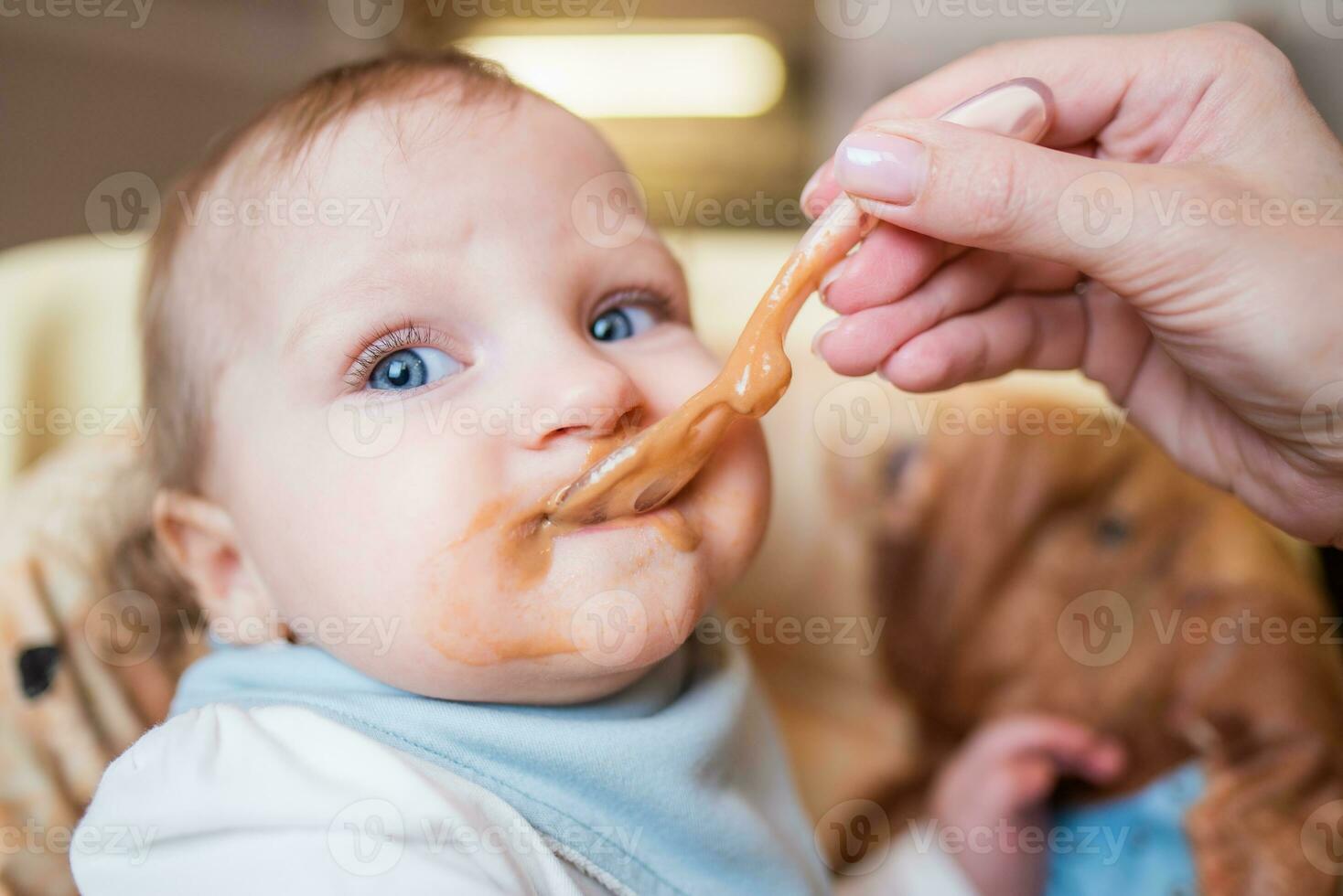 Mom feeds her little daughter fruit puree from a spoon. First food photo