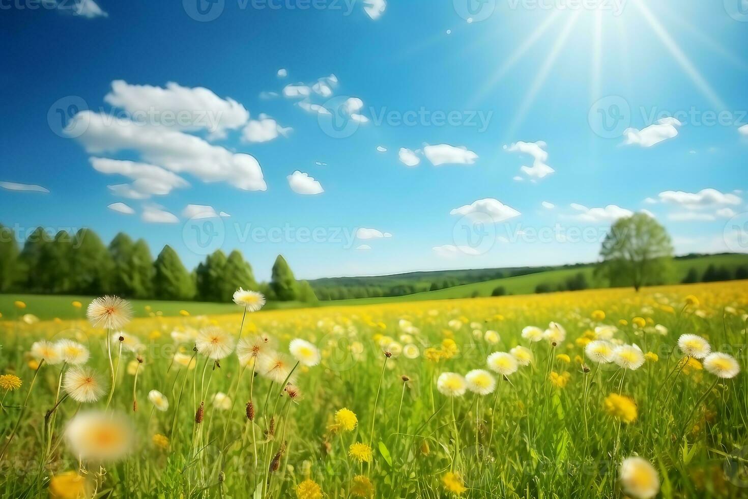 Field with yellow dandelions and blue sky. generative ai. photo