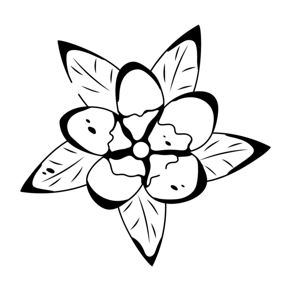 Trendy Plumeria Flower vector