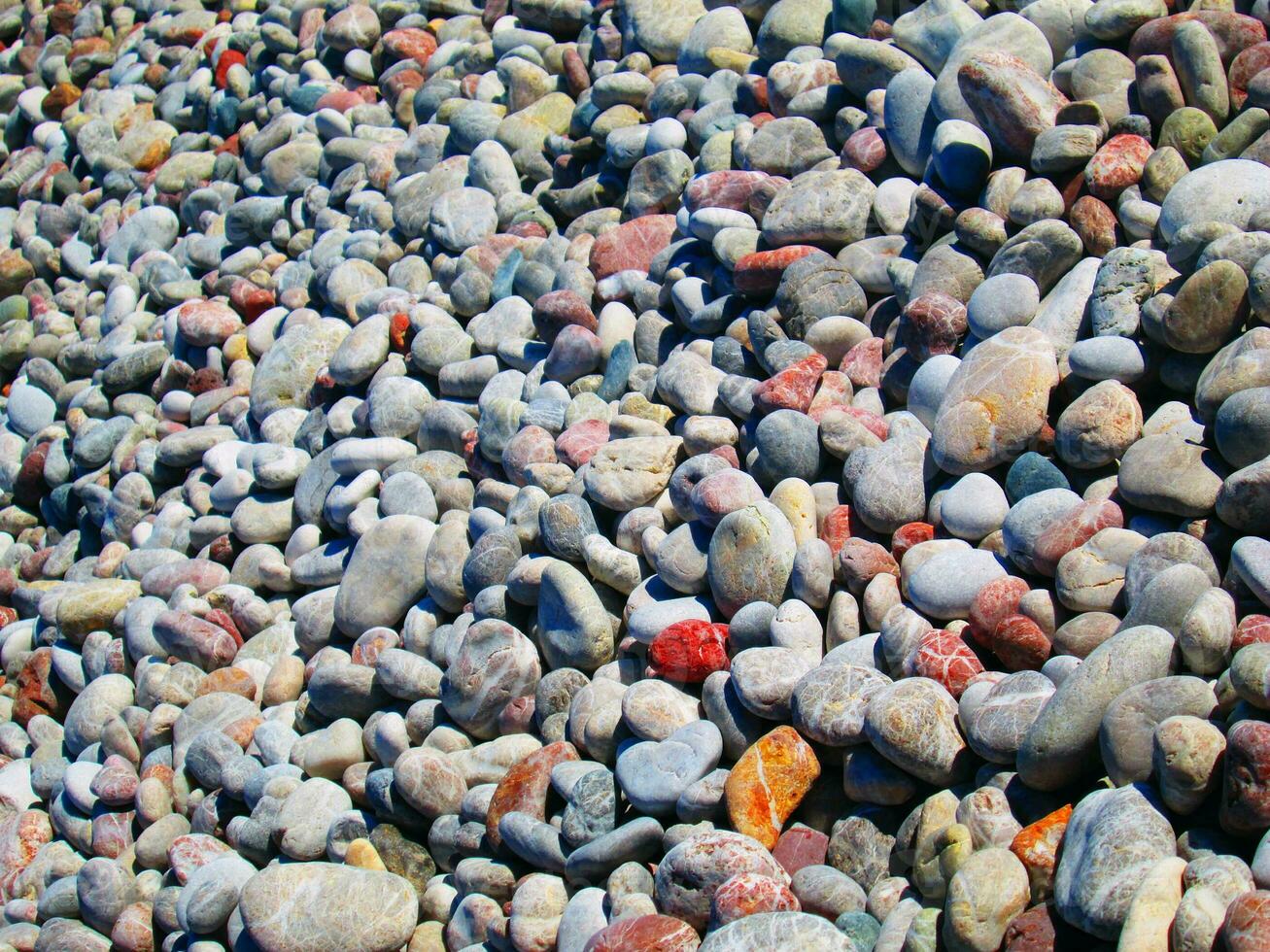 Colorful beach pebbles photo