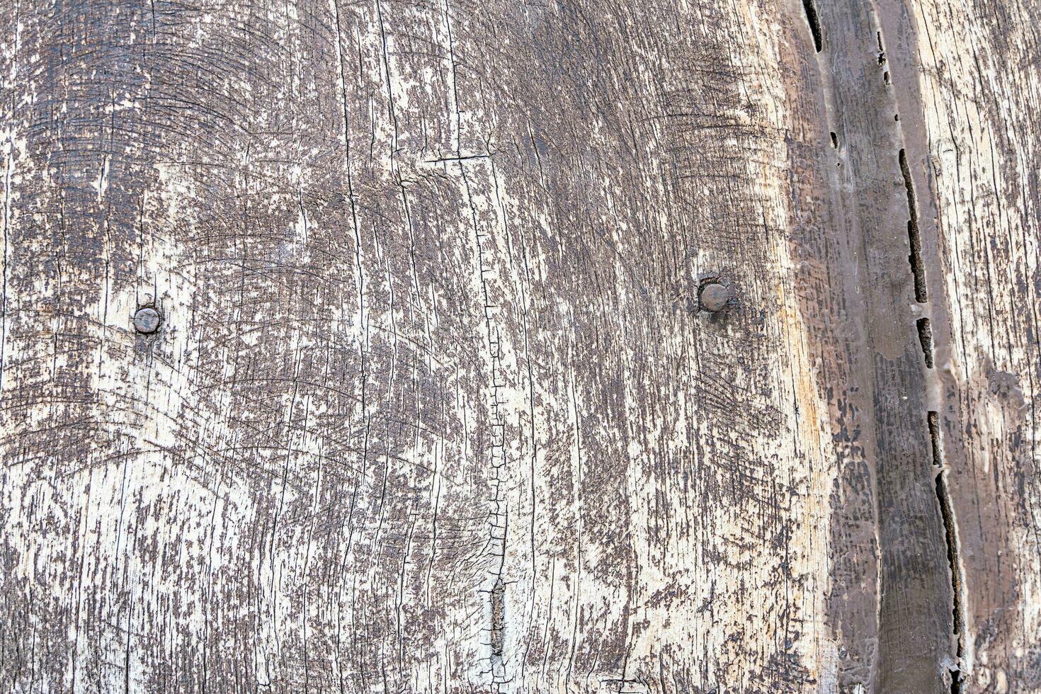 close up of a wood panel texture - Old wooden planks background with cracks and nails photo