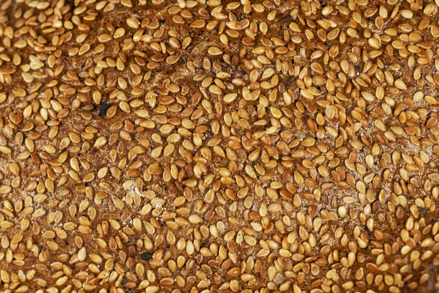 Macro shot of bread surface photo