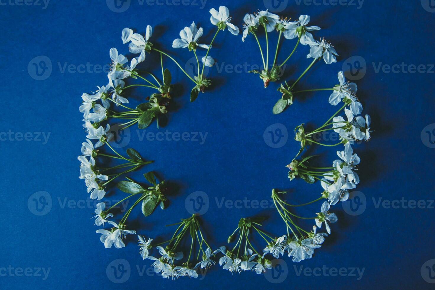 Blossom flowers on blue photo