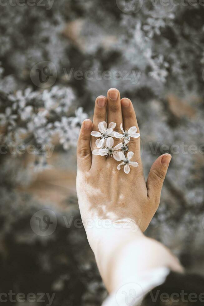 mujer sostiene primavera árbol flores foto