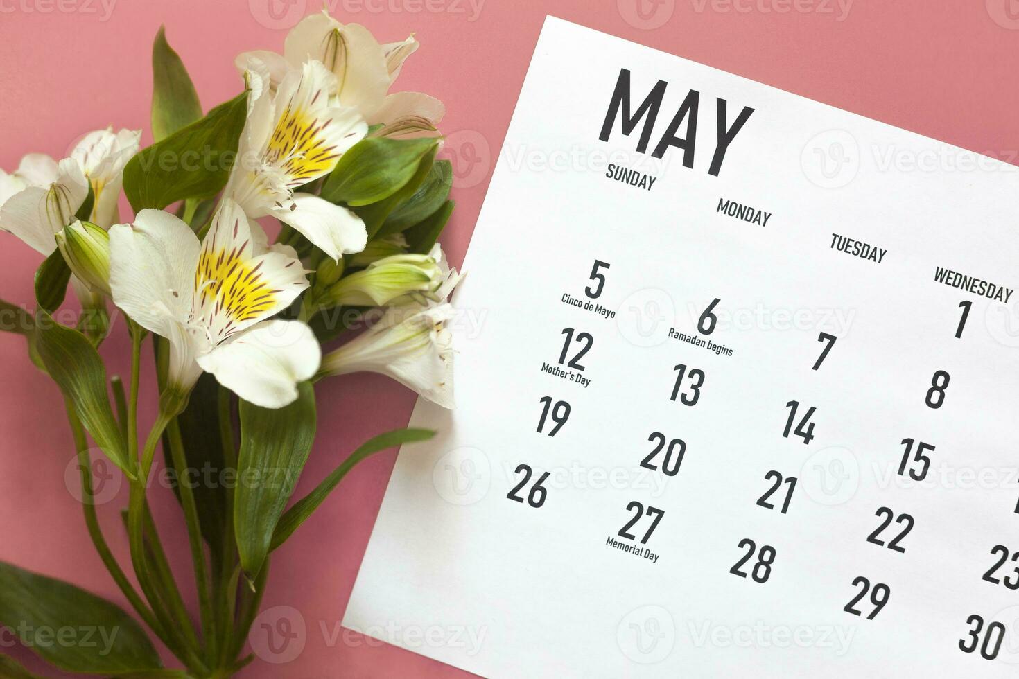 May monthly calendar and spring flower photo