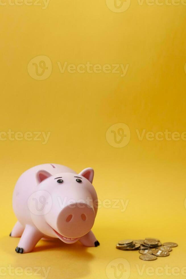 coins and toy piggy bank photo