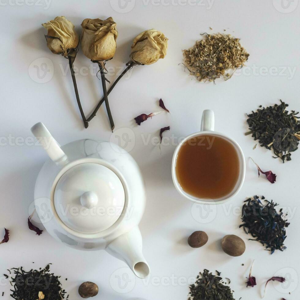 Tea set with white ceramic tea pot, dried rose flowers and other tea ingredients on the white. Flat lay view of various dried teas and teapot. View from above. Space for your text photo