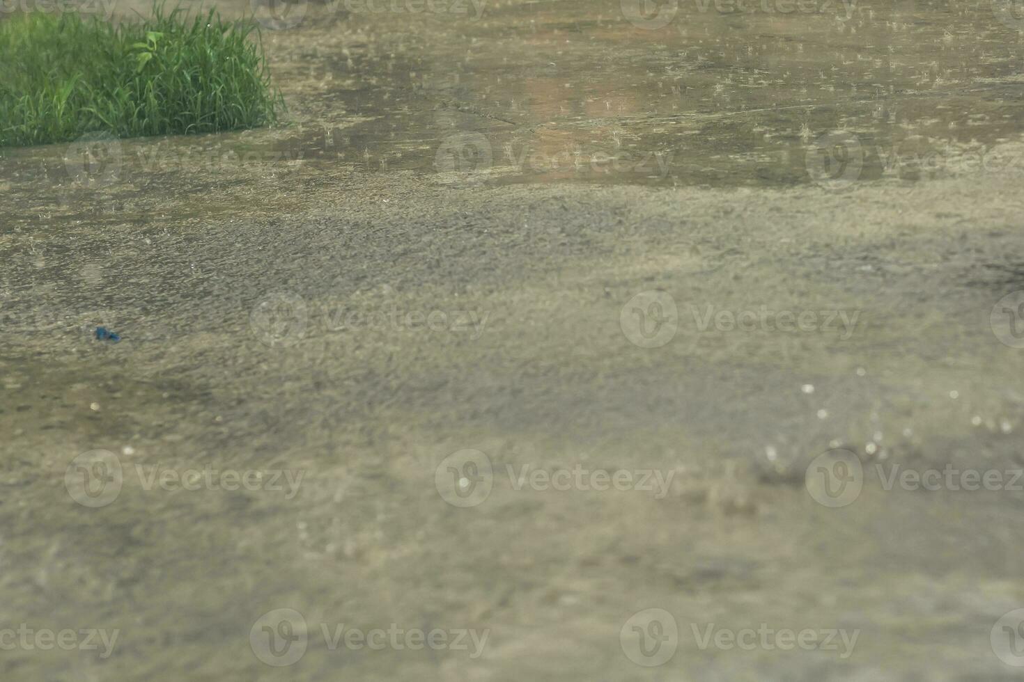 Heavy raining. Raindrops at outdoors. Spring rain. Autumn rain season ...