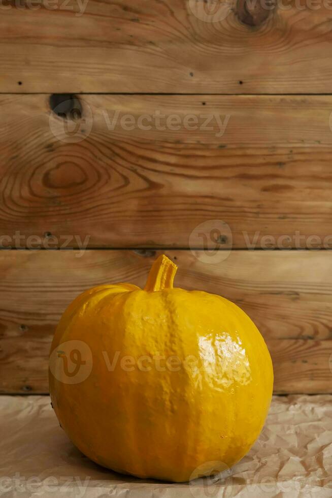 Big Halloween pumpkin photo