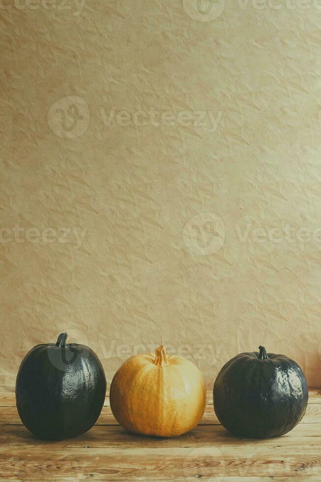 Colored halloween pumpkins on wooden desk. Difference. Alone among the others. Single orange pumpkin in a row of black pumpkins photo