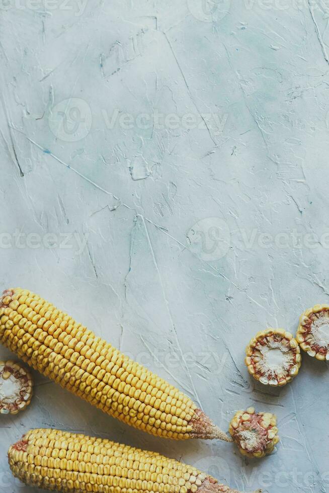 Sweet corns background with copy space for text photo