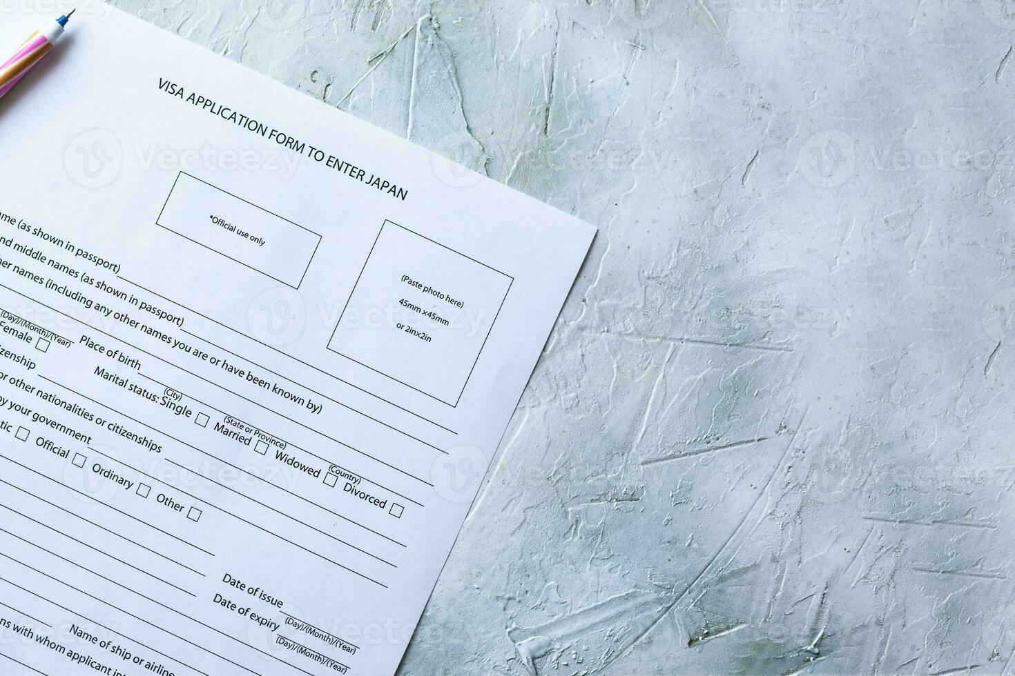 Japan Visa Application Form photo