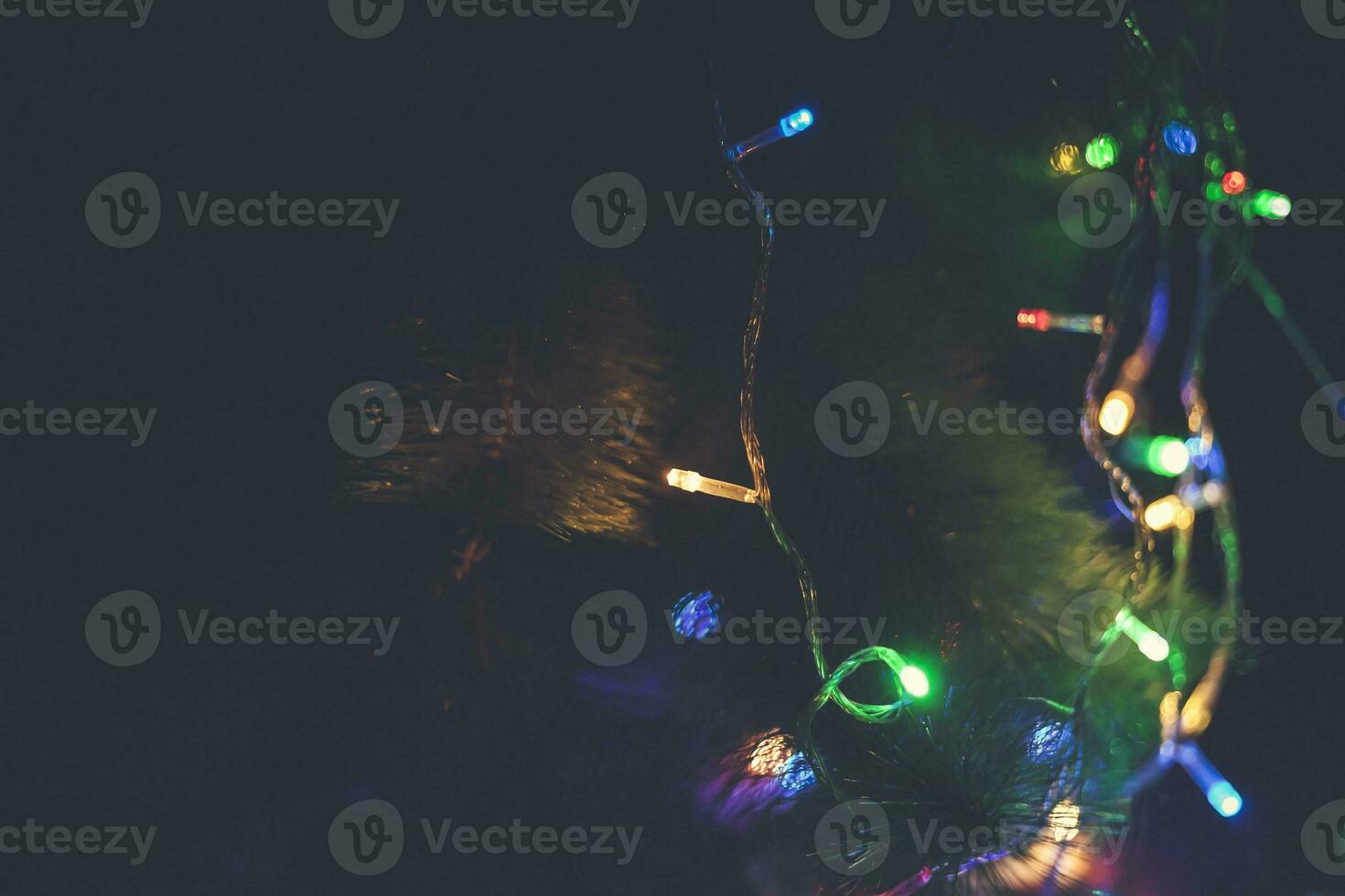 Close-up view of Christmas tree decorated with garland lights photo