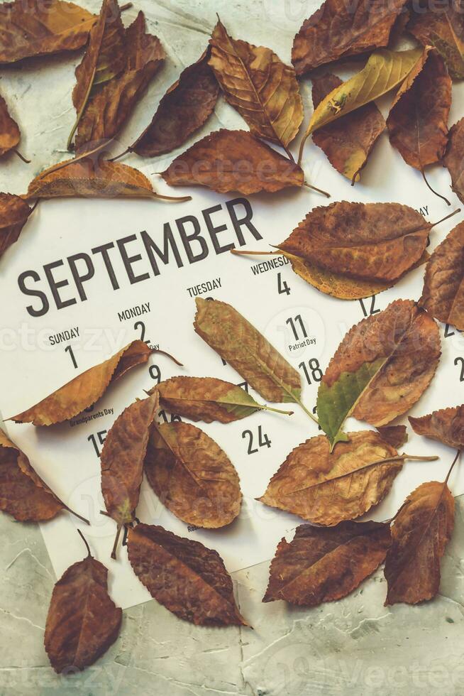 Monthly September 2019 calendar photo