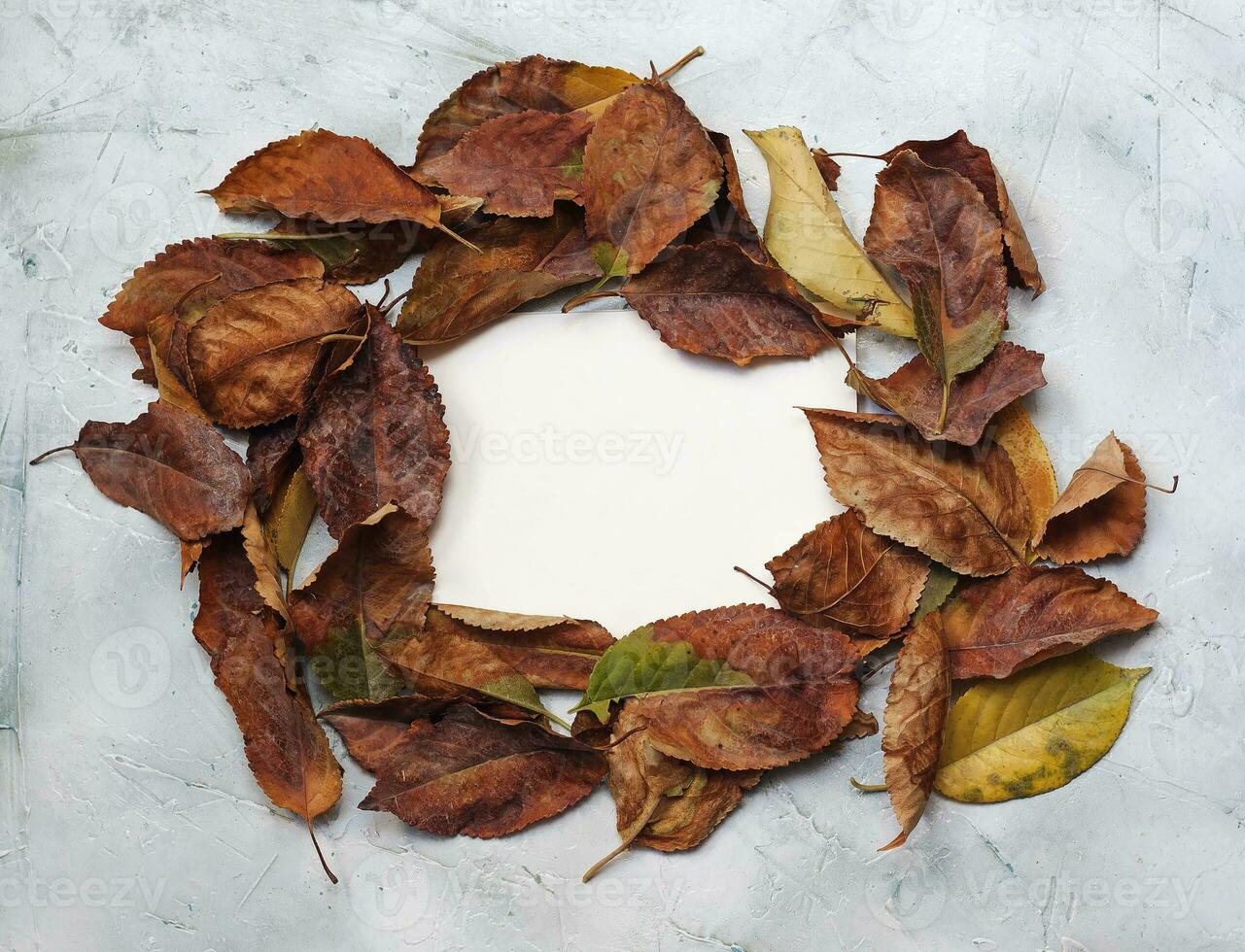 otoño concepto con blanco blanco tarjeta foto