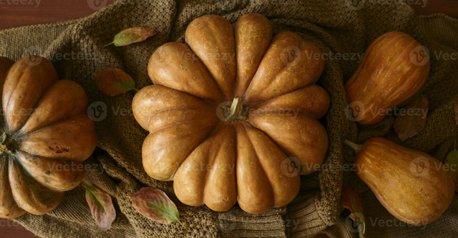 Rustic autumn pumpkins photo